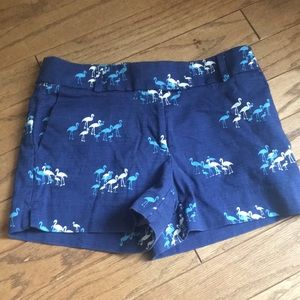 Adorable loft riviera flamingo shorts
